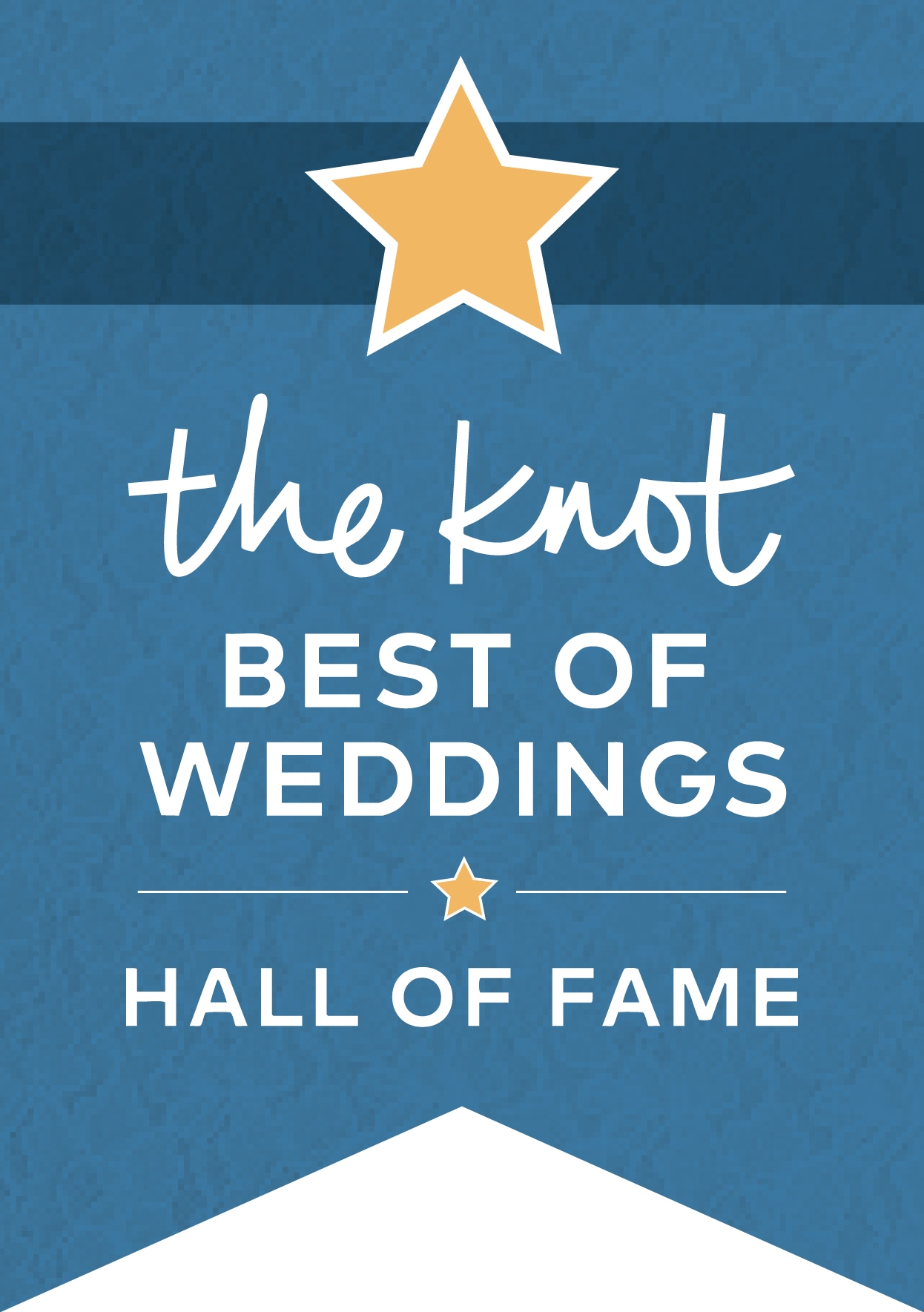 A blue ribbon with gold star at the top and the knot best of weddings - Hall of fame text.