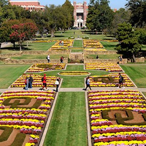 Mums on South Oval 