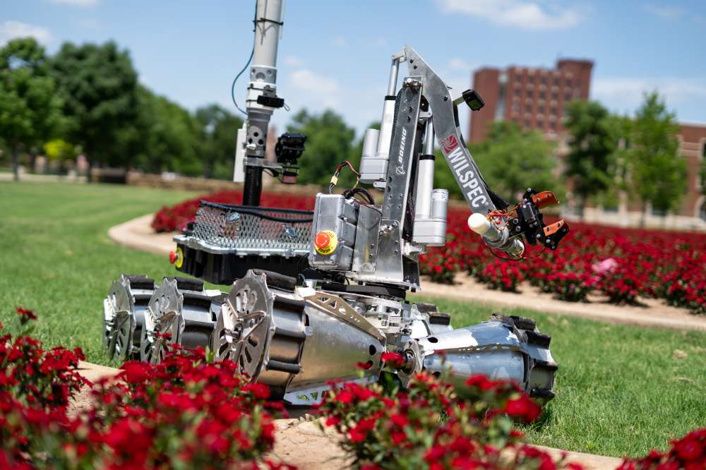 Rover on the South Oval