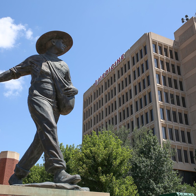Decorative, Seed Sower statue on HSC campus