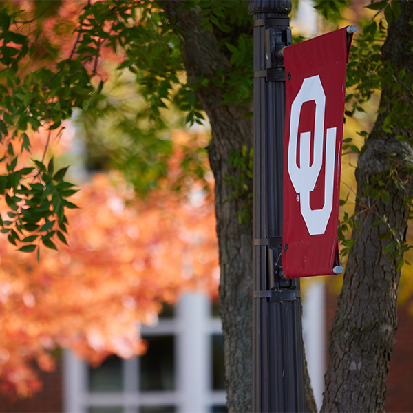 OU Campus beauty (Decorative) fall leaves and a light pole